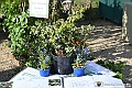 VBS_0790 - Anteprima FloReal 2025
